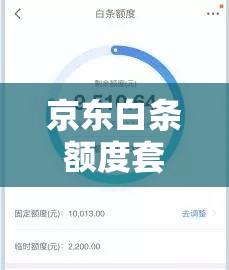 京东白条额度套现方法，京东白条额度怎样套现