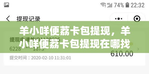 羊小咩便荔卡包提现，羊小咩便荔卡包提现在哪找nk安诚小铺oj助富掌柜