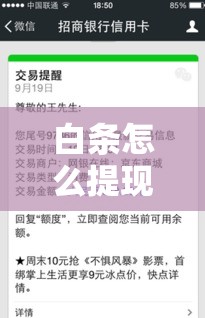 白条怎么提现金，白条怎么提现出来