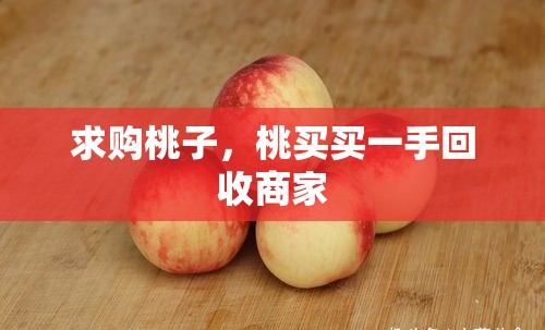 求购桃子，桃买买一手回收商家