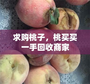 求购桃子,桃买买一手回收商家
