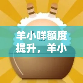 羊小咩额度提升，羊小咩额度提现商家