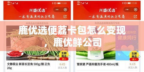 鹿优选便荔卡包怎么变现，鹿优鲜公司