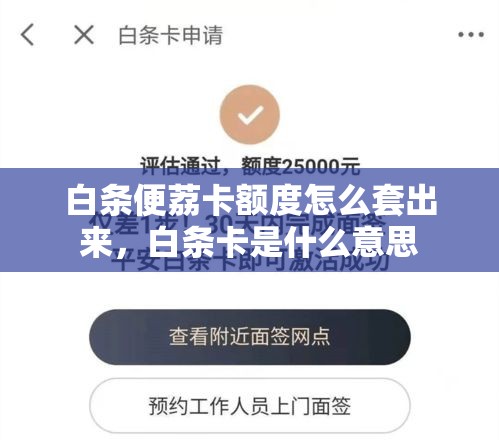 白条便荔卡额度怎么套出来，白条卡是什么意思