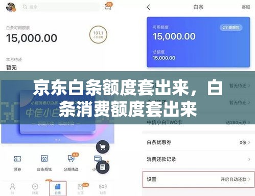 京东白条额度套出来，白条消费额度套出来