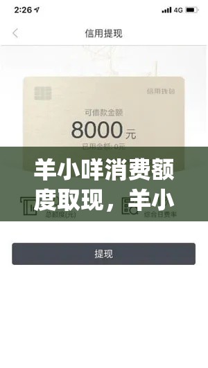羊小咩消费额度取现,羊小咩消费额度取现vw安诚小铺ty助富掌柜
