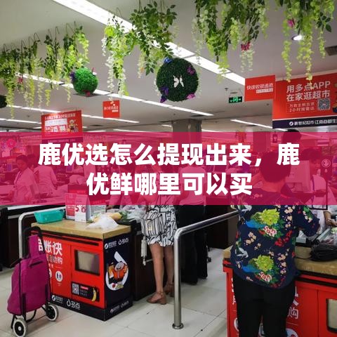 鹿优选怎么提现出来，鹿优鲜哪里可以买