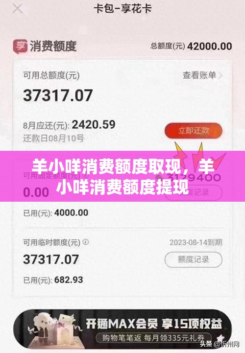 羊小咩消费额度取现，羊小咩消费额度提现