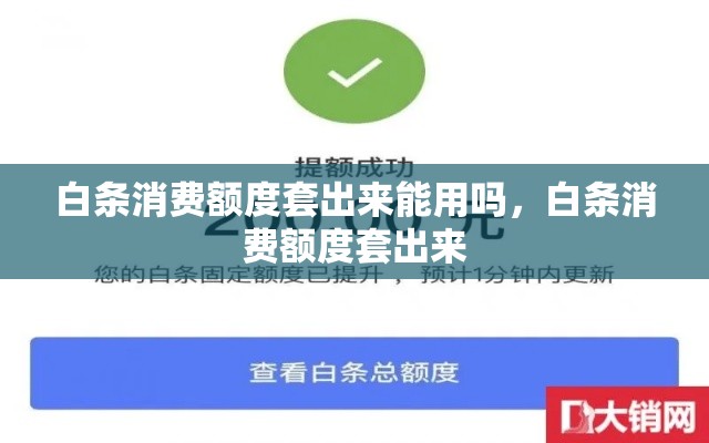 白条消费额度套出来能用吗，白条消费额度套出来