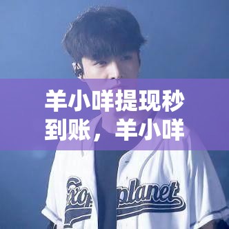 羊小咩提现秒到账，羊小咩借款怎么提现