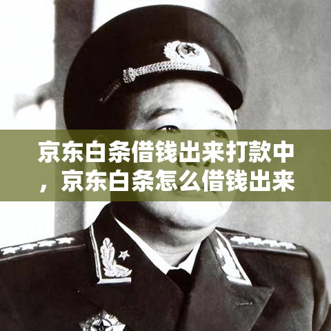 京东白条借钱出来打款中,京东白条怎么借钱出来