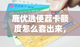 2025年黑卡排行榜,索尼,黑卡,rx-100,日本价格是多少日币