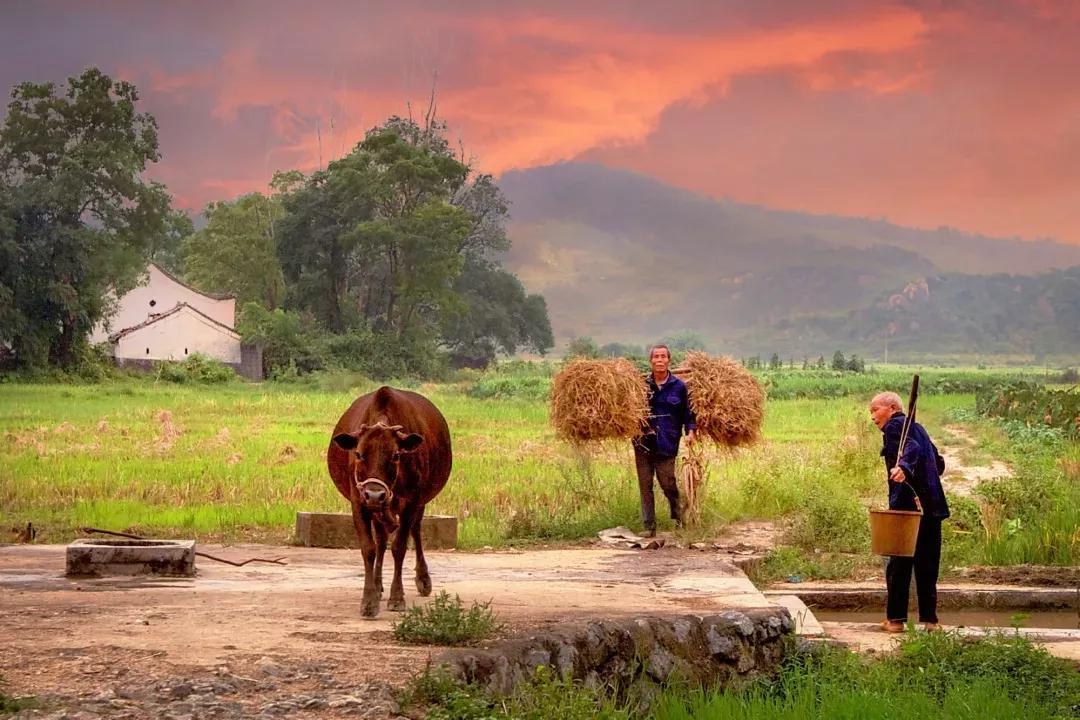 直播切片排行榜2025驭电人2025年7月停播了吗?