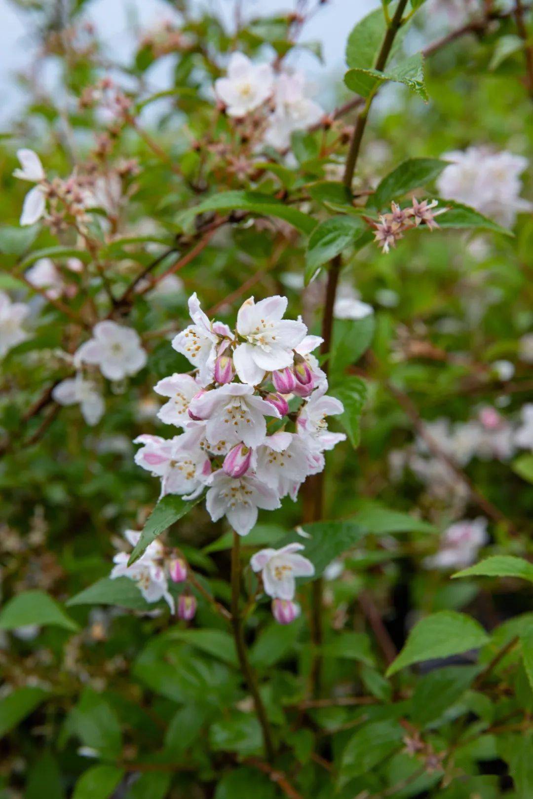 2025酒泉中考录取时间2025酒泉中考排行榜最新