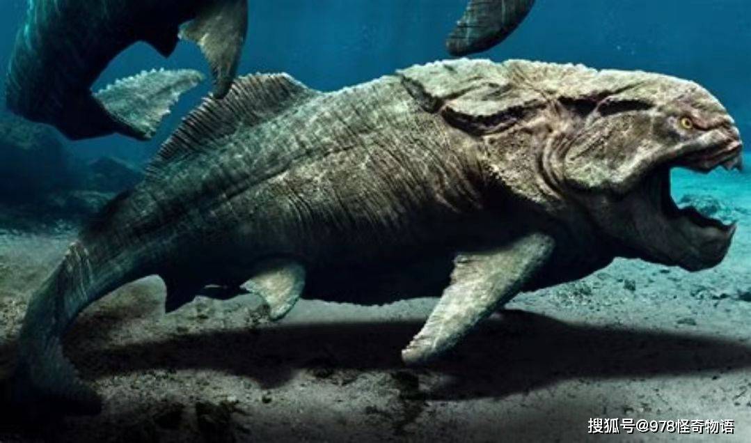 全国哪些地方养老金靠国家救济全国县财政收入