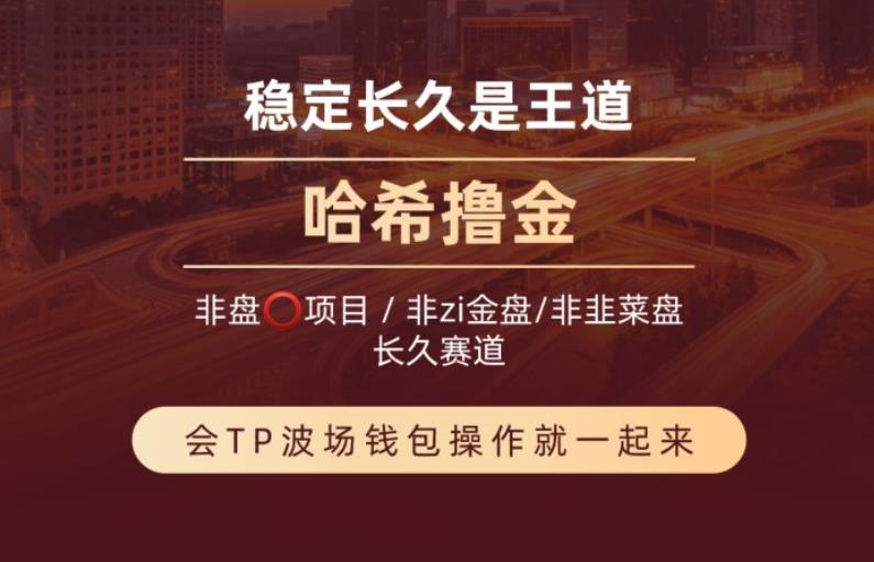哈希v2/s9，Ai量化自动挂机撸trx，暴利又正规的哈希值跟单项目！