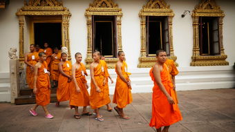 宫廷剧排行榜前十名2025宫廷剧最新好看的宫廷