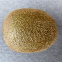 卫生纸品牌排行榜2025，卫生纸品牌前十名