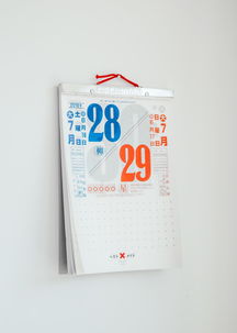 2025饵料新品排行榜图片,2025饵料新品排行榜