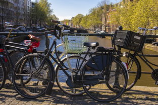 山地车自行车品牌排行榜前十名，山地车自行车品牌排行榜2025