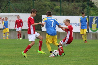 搏击比赛排名，2025年搏击圈排行榜